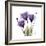 Purple Gentian Portrait-Albert Koetsier-Framed Art Print