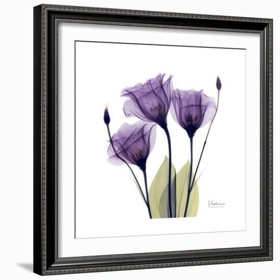 Purple Gentian Portrait-Albert Koetsier-Framed Premium Giclee Print