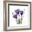 Purple Gentian Portrait-Albert Koetsier-Framed Art Print