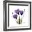 Purple Gentian Portrait-Albert Koetsier-Framed Art Print