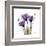 Purple Gentian Portrait-Albert Koetsier-Framed Art Print