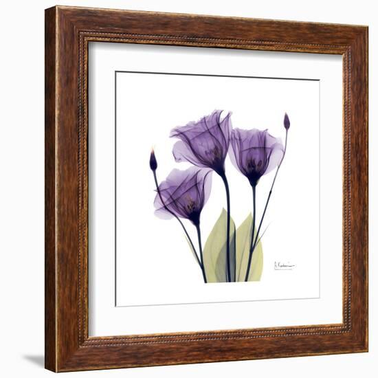 Purple Gentian Portrait-Albert Koetsier-Framed Art Print