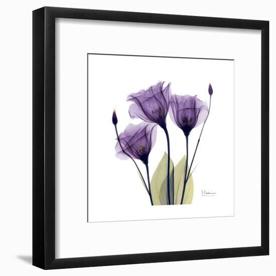 Purple Gentian Portrait-Albert Koetsier-Framed Art Print