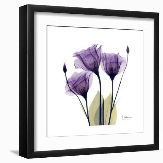 Purple Gentian Portrait-Albert Koetsier-Framed Art Print