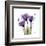 Purple Gentian Portrait-Albert Koetsier-Framed Art Print