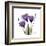 Purple Gentian Portrait-Albert Koetsier-Framed Art Print