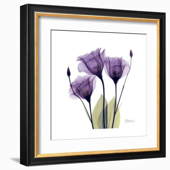 Purple Gentian Portrait-Albert Koetsier-Framed Art Print