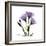 Purple Gentian Square-Albert Koetsier-Framed Premium Giclee Print