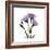 Purple Gentian Square-Albert Koetsier-Framed Premium Giclee Print