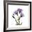 Purple Gentian Square-Albert Koetsier-Framed Premium Giclee Print