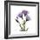 Purple Gentian Square-Albert Koetsier-Framed Premium Giclee Print