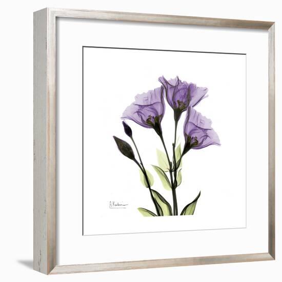 Purple Gentian Square-Albert Koetsier-Framed Premium Giclee Print