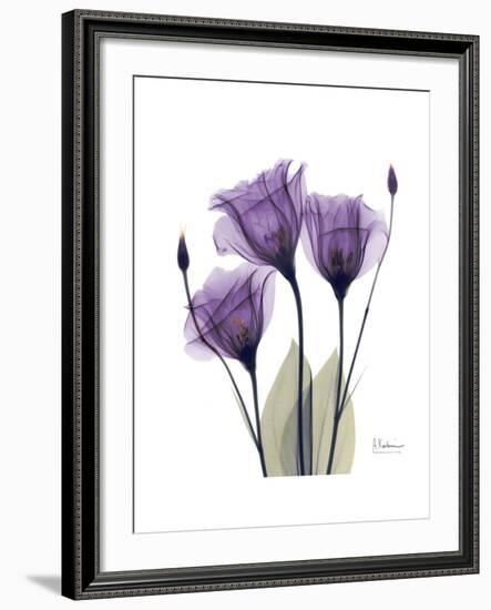 Purple Gentian Triplet-Albert Koetsier-Framed Premium Giclee Print