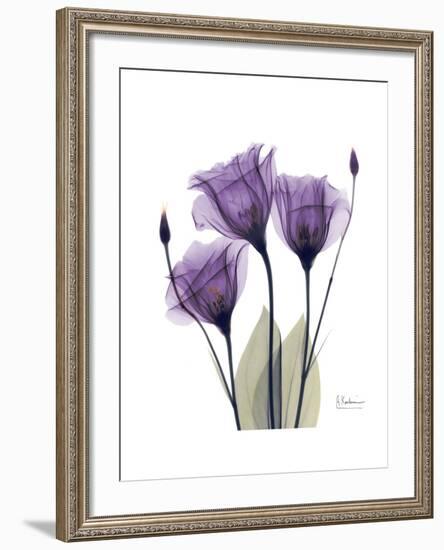 Purple Gentian Triplet-Albert Koetsier-Framed Premium Giclee Print