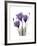 Purple Gentian Triplet-Albert Koetsier-Framed Premium Giclee Print