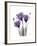 Purple Gentian Triplet-Albert Koetsier-Framed Premium Giclee Print