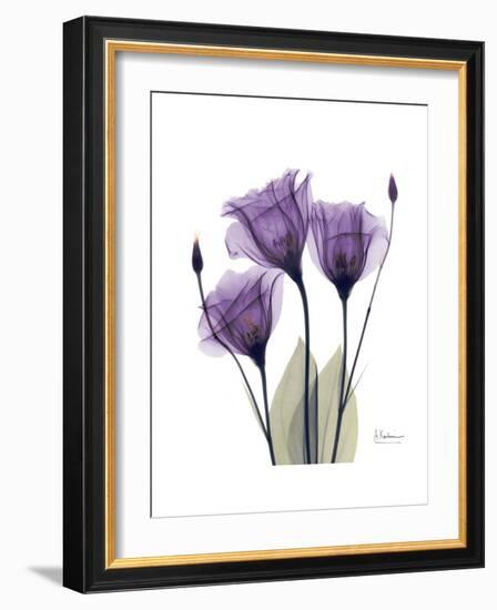 Purple Gentian Triplet-Albert Koetsier-Framed Premium Giclee Print