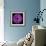 Purple Gerbera Daisy-Jim Christensen-Framed Photographic Print displayed on a wall