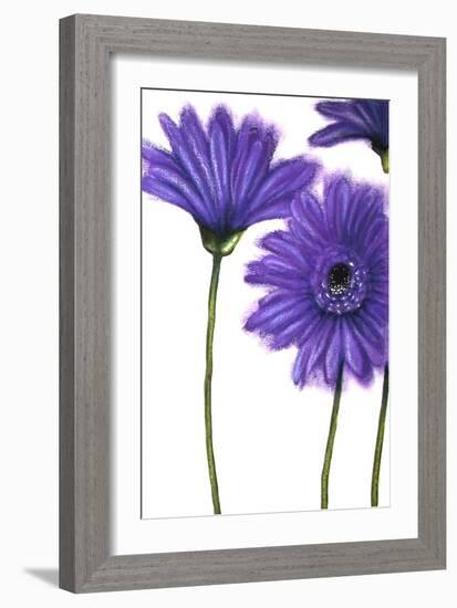 Purple Gerberas 1-Cherie Roe Dirksen-Framed Giclee Print