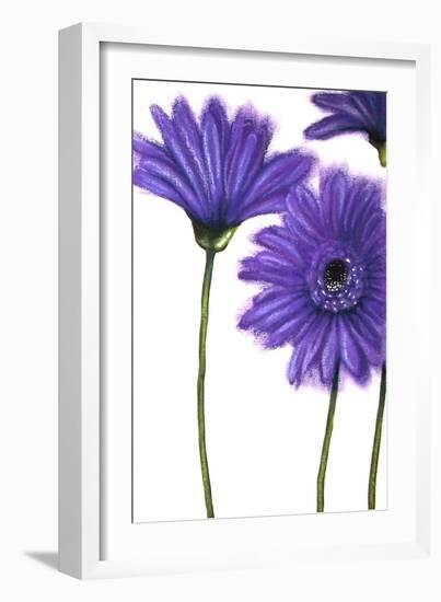 Purple Gerberas 1-Cherie Roe Dirksen-Framed Giclee Print