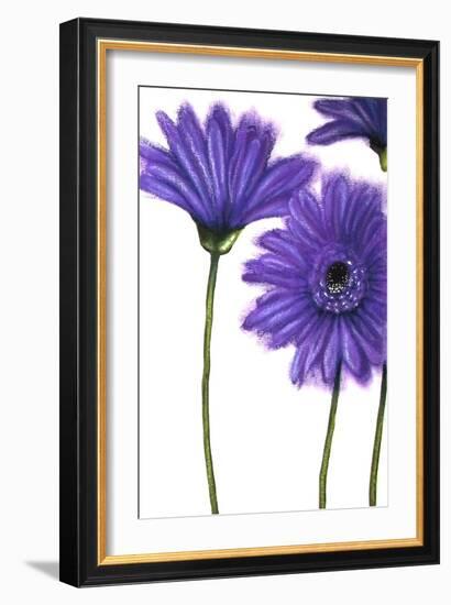 Purple Gerberas 1-Cherie Roe Dirksen-Framed Giclee Print