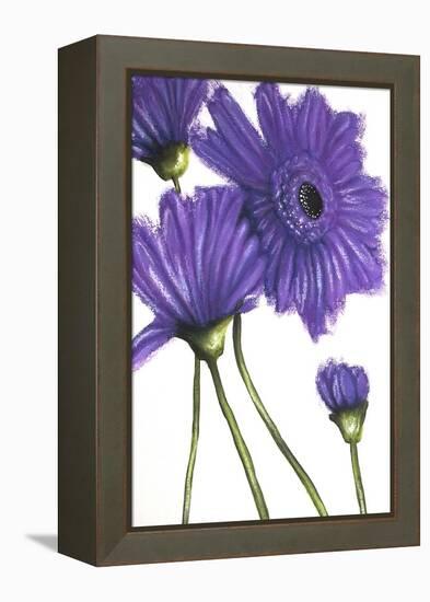 Purple Gerberas 2-Cherie Roe Dirksen-Framed Premier Image Canvas