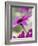 Purple Gerberas-Jean Cazals-Framed Photographic Print