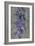 Purple Gladiola-John Seba-Framed Premium Giclee Print