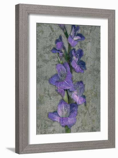 Purple Gladiola-John Seba-Framed Premium Giclee Print