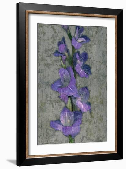 Purple Gladiola-John Seba-Framed Premium Giclee Print