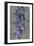 Purple Gladiola-John Seba-Framed Premium Giclee Print