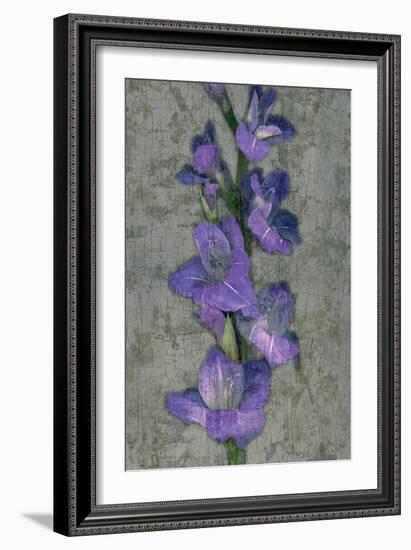 Purple Gladiola-John Seba-Framed Premium Giclee Print