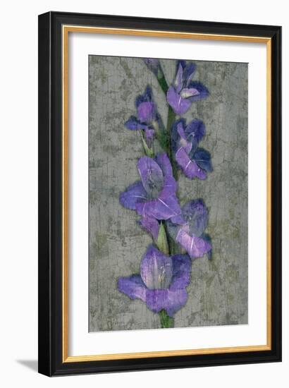 Purple Gladiola-John Seba-Framed Premium Giclee Print