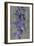 Purple Gladiola-John Seba-Framed Art Print