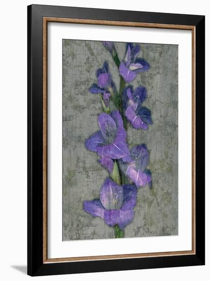 Purple Gladiola-John Seba-Framed Art Print