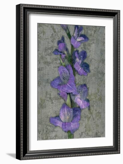 Purple Gladiola-John Seba-Framed Art Print