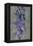 Purple Gladiola-John Seba-Framed Stretched Canvas