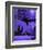 Purple Halloween Black Cats Witch Feet-sylvia pimental-Framed Art Print