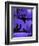 Purple Halloween Black Cats Witch Feet-sylvia pimental-Framed Art Print