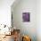 Purple Haze 1-Doug Chinnery-Mounted Photographic Print displayed on a wall