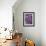 Purple Haze 1-Doug Chinnery-Framed Photographic Print displayed on a wall