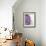 Purple Haze 2-Doug Chinnery-Framed Photographic Print displayed on a wall