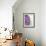 Purple Haze 2-Doug Chinnery-Framed Photographic Print displayed on a wall