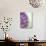 Purple Haze 2-Doug Chinnery-Photographic Print displayed on a wall