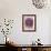Purple Haze 3-Doug Chinnery-Framed Photographic Print displayed on a wall