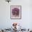 Purple Haze 3-Doug Chinnery-Framed Photographic Print displayed on a wall