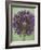 Purple Haze 4-Doug Chinnery-Framed Photographic Print