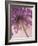 Purple Haze 5-Doug Chinnery-Framed Photographic Print