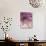Purple Haze 5-Doug Chinnery-Photographic Print displayed on a wall