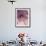 Purple Haze 5-Doug Chinnery-Framed Photographic Print displayed on a wall
